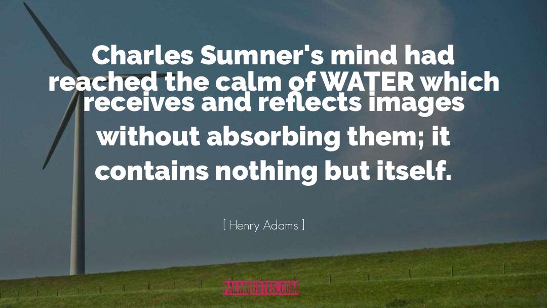 Absorbing quotes by Henry Adams