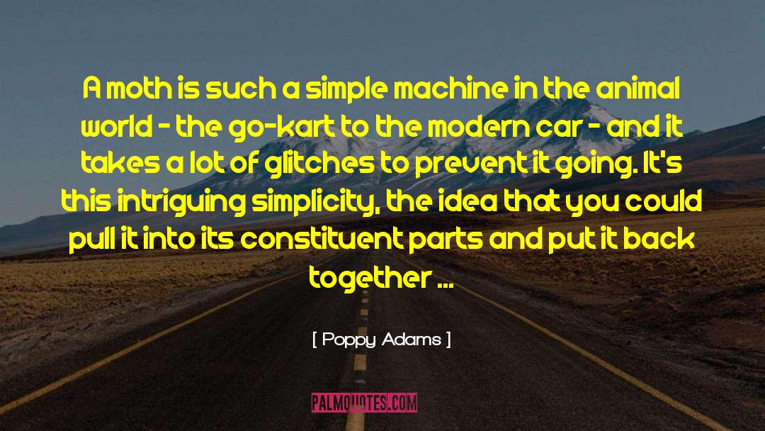 Absorbing quotes by Poppy Adams