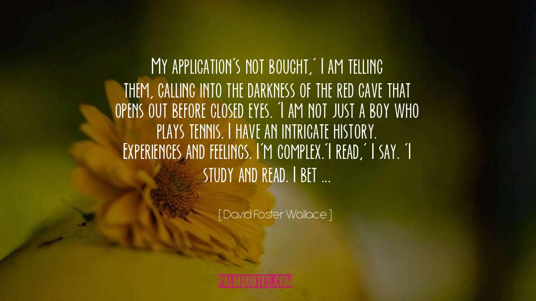 Absorption quotes by David Foster Wallace