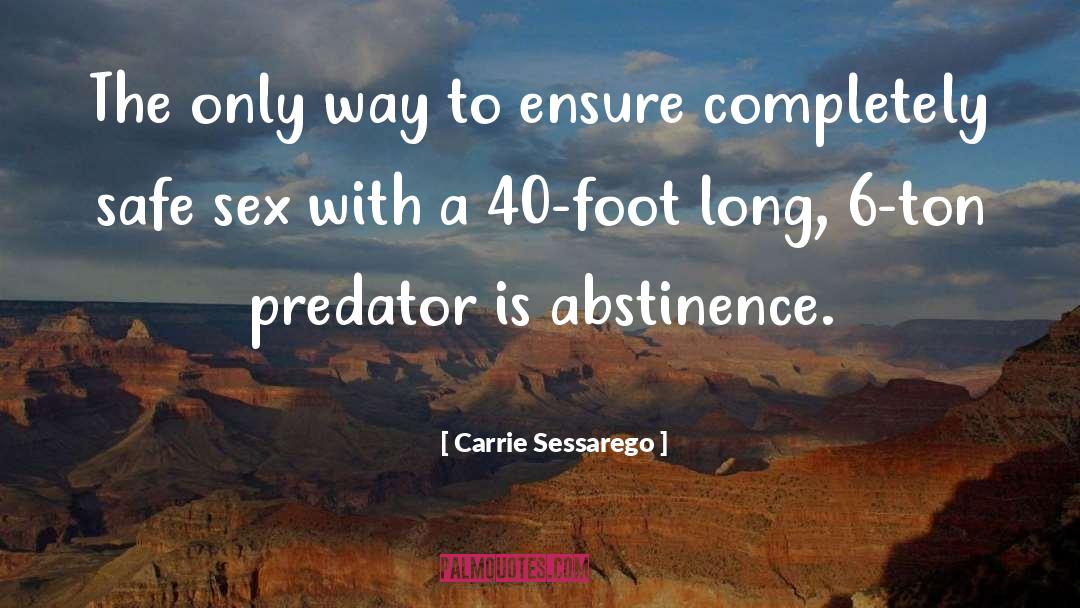 Abstinence quotes by Carrie Sessarego