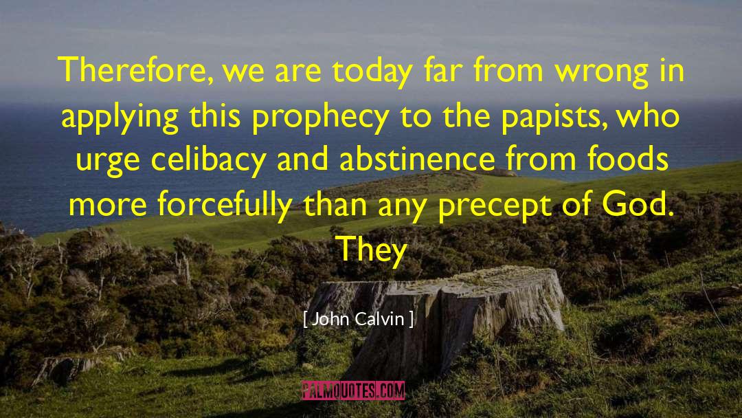 Abstinence quotes by John Calvin