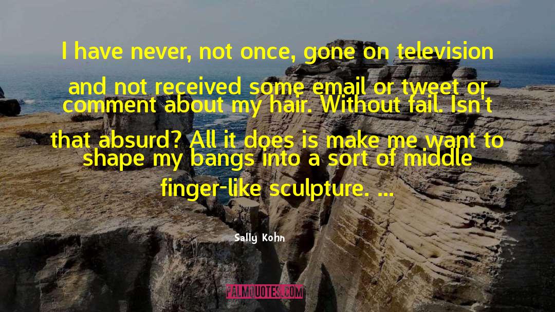 Absurd Logic quotes by Sally Kohn