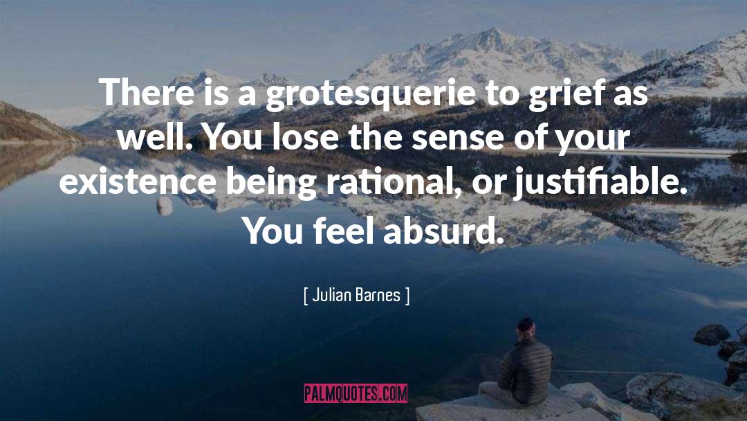 Absurd quotes by Julian Barnes