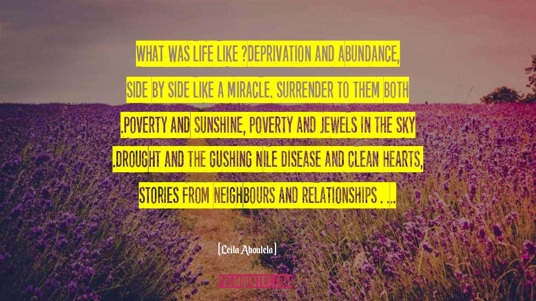 Abundance And Prosperity quotes by Leila Aboulela