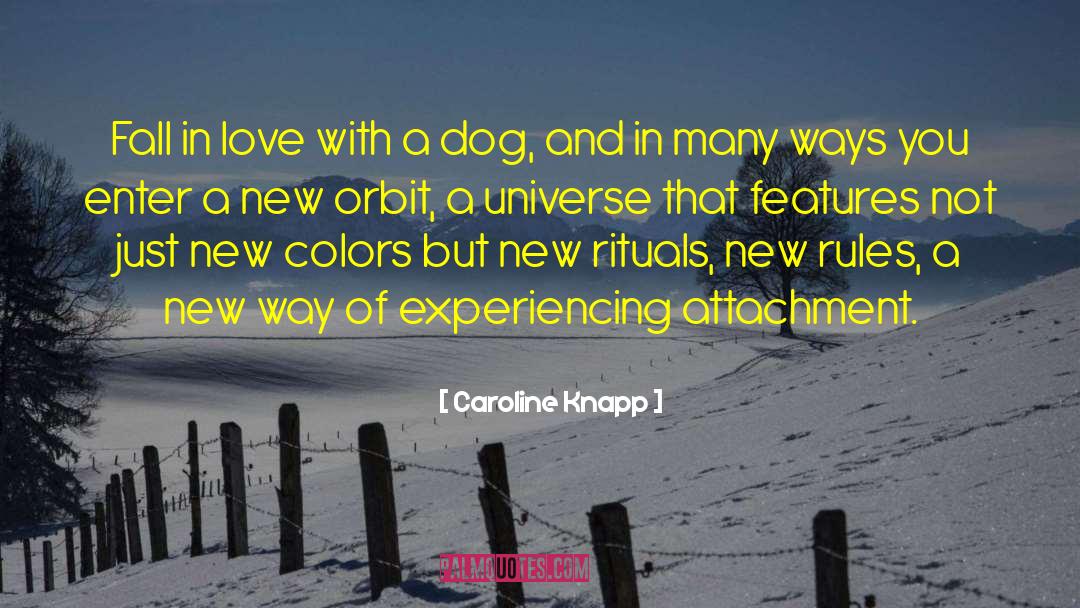 Abundance Of Love quotes by Caroline Knapp