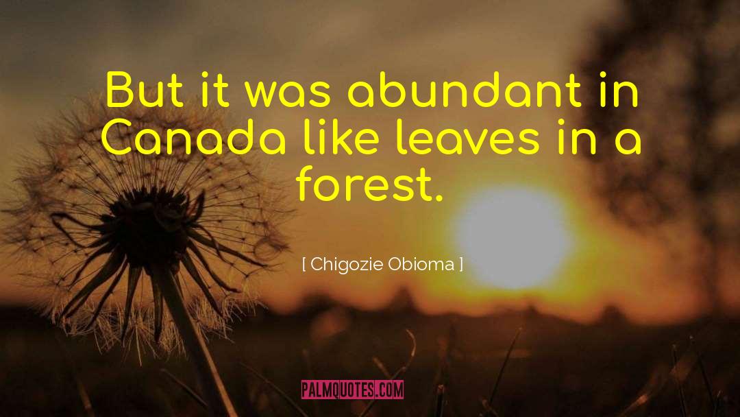 Abundant quotes by Chigozie Obioma