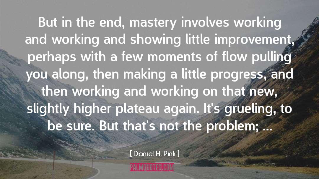 Abundantly Flow quotes by Daniel H. Pink