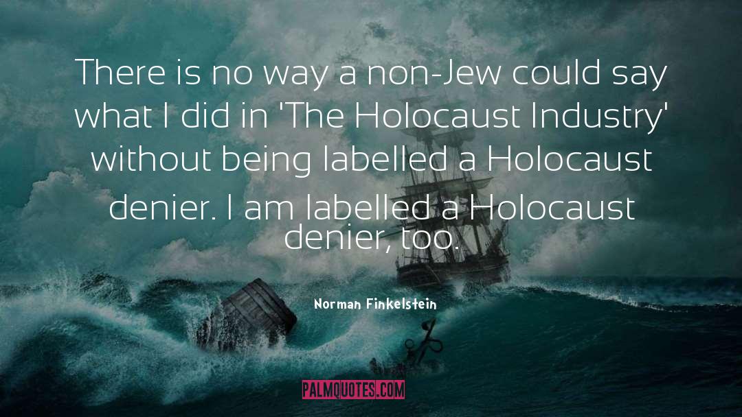 Abuse Deniers quotes by Norman Finkelstein