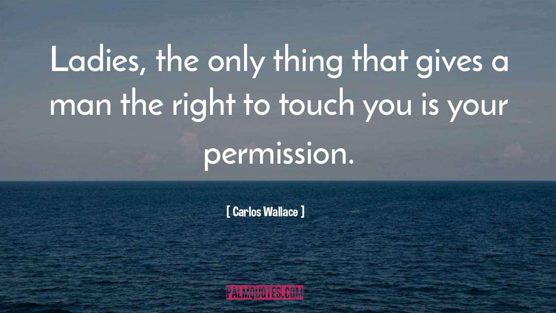 Abuse quotes by Carlos Wallace