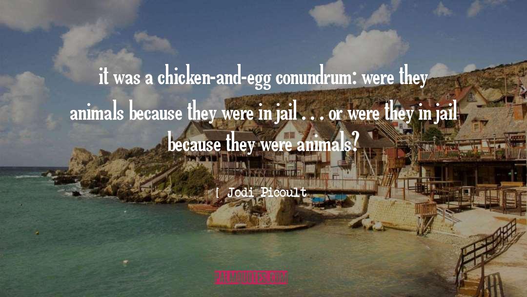 Abused Animals quotes by Jodi Picoult