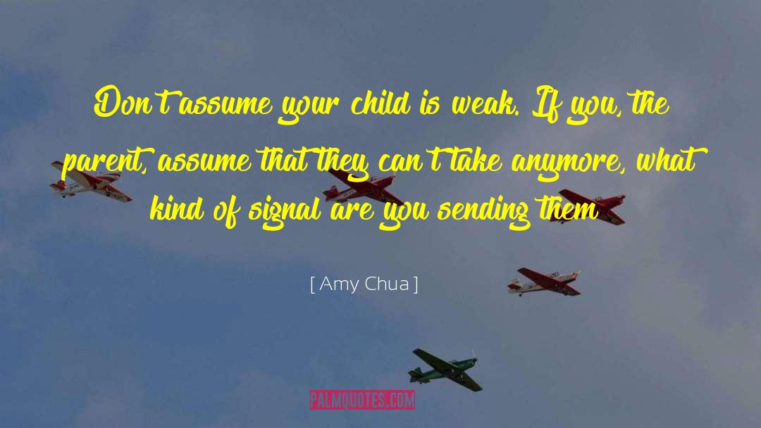 Abused Child quotes by Amy Chua