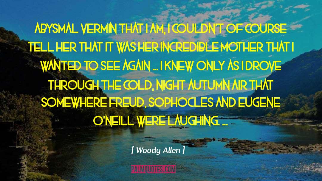 Abysmal quotes by Woody Allen