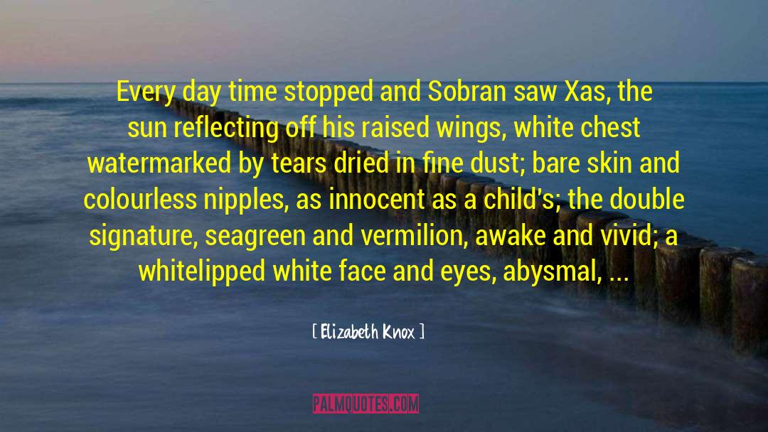 Abysmal quotes by Elizabeth Knox