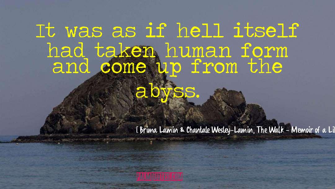 Abyss quotes by Brima Lamin & Chantale Wesley-Lamin, The Walk - Memoir Of A Liberian Civil War Survivor, 2016