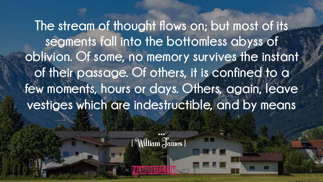 Abyss quotes by William James