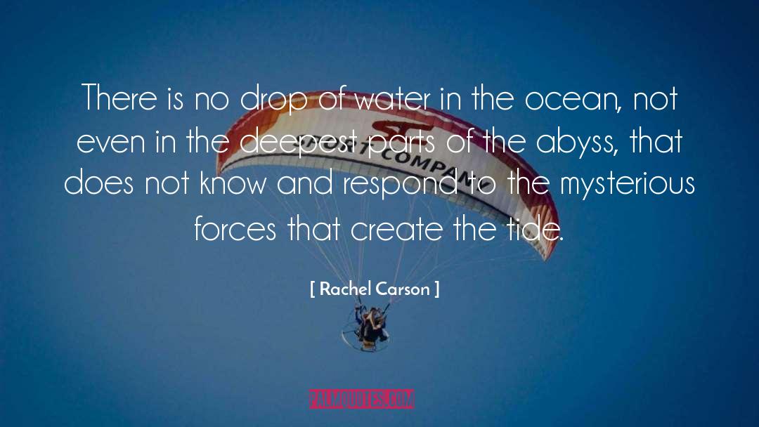 Abyss quotes by Rachel Carson