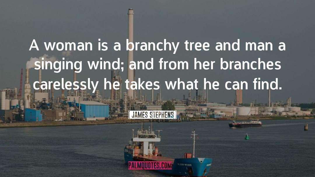 Acacia Tree quotes by James Stephens