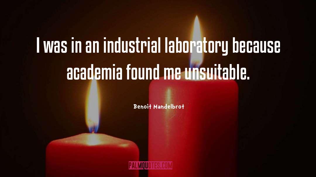 Academia quotes by Benoit Mandelbrot