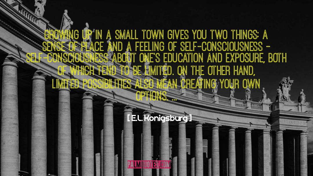 Academic Education quotes by E.L. Konigsburg