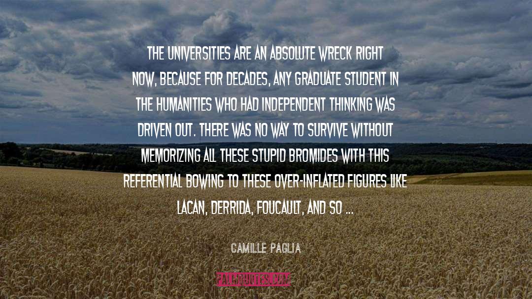 Academics quotes by Camille Paglia