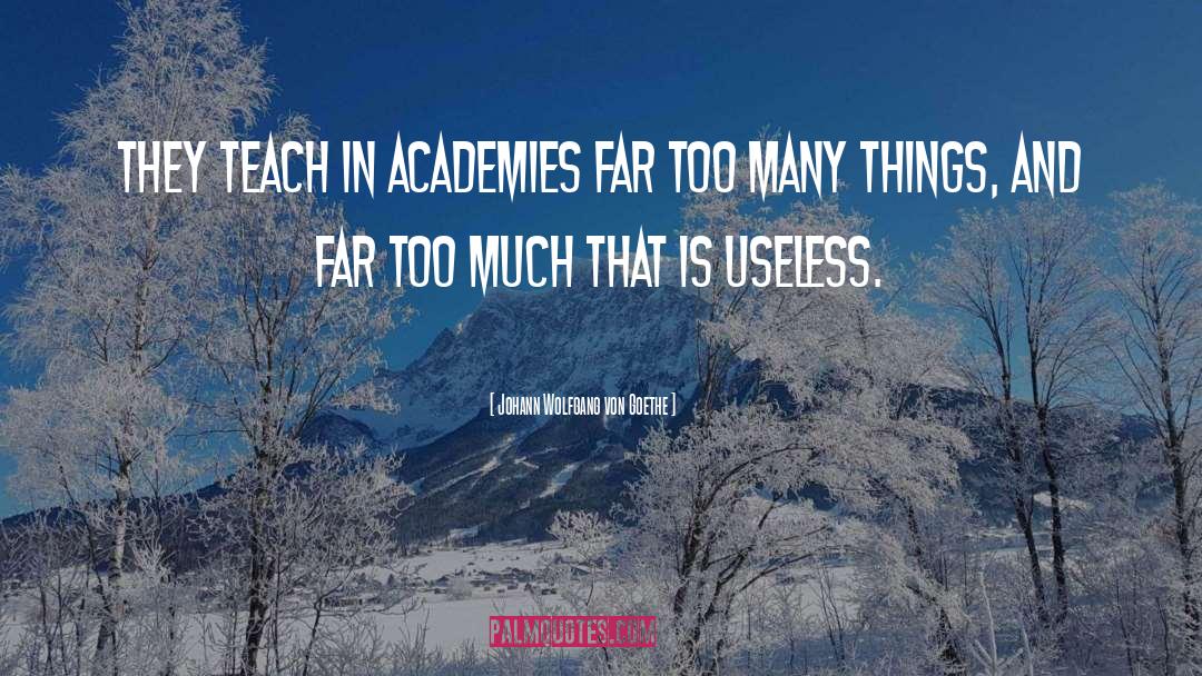 Academy quotes by Johann Wolfgang Von Goethe