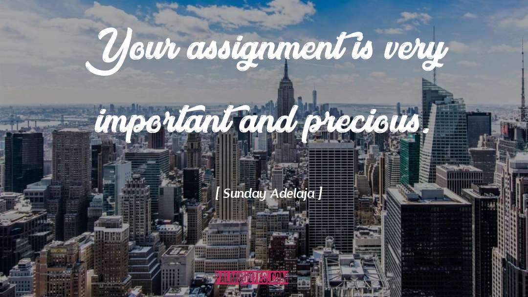 Accept Assignment quotes by Sunday Adelaja