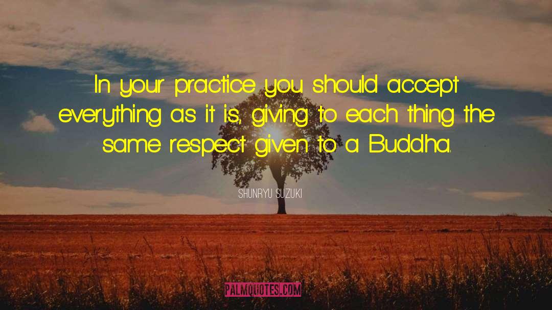 Accept Everything quotes by Shunryu Suzuki