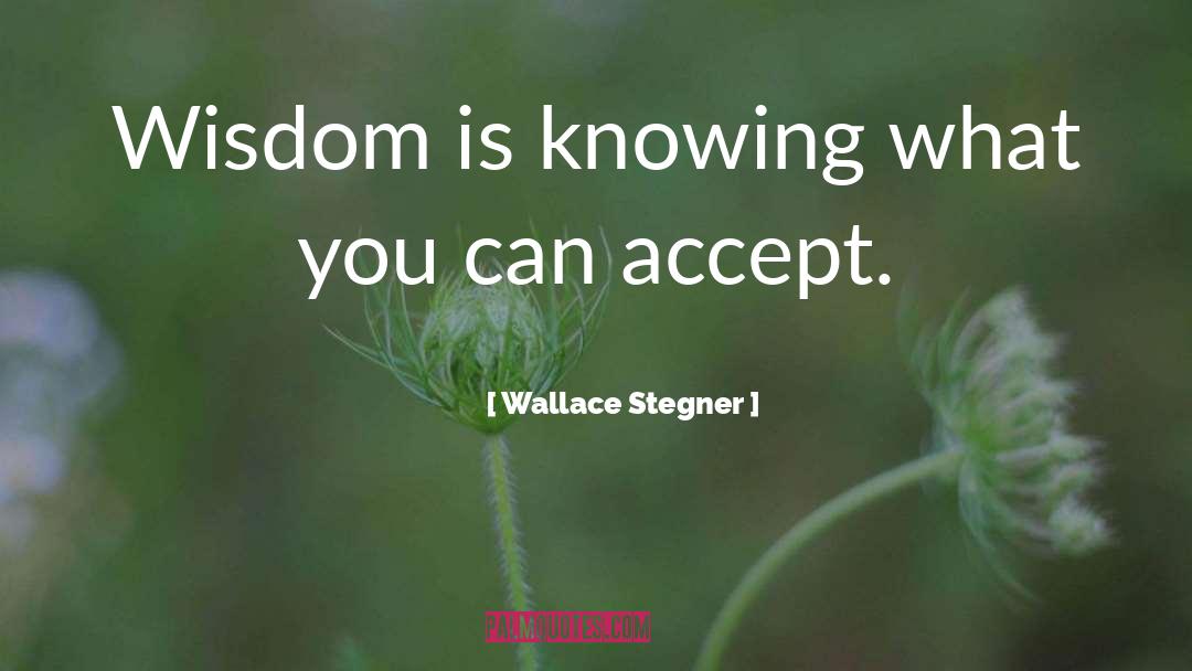 Accept quotes by Wallace Stegner