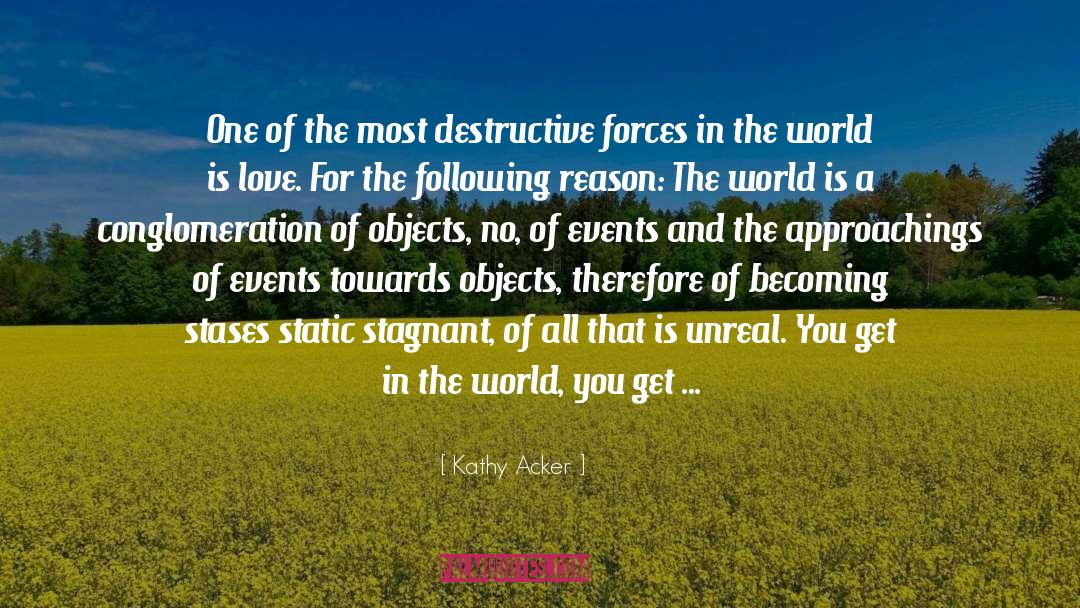 Acceptance And Change quotes by Kathy Acker