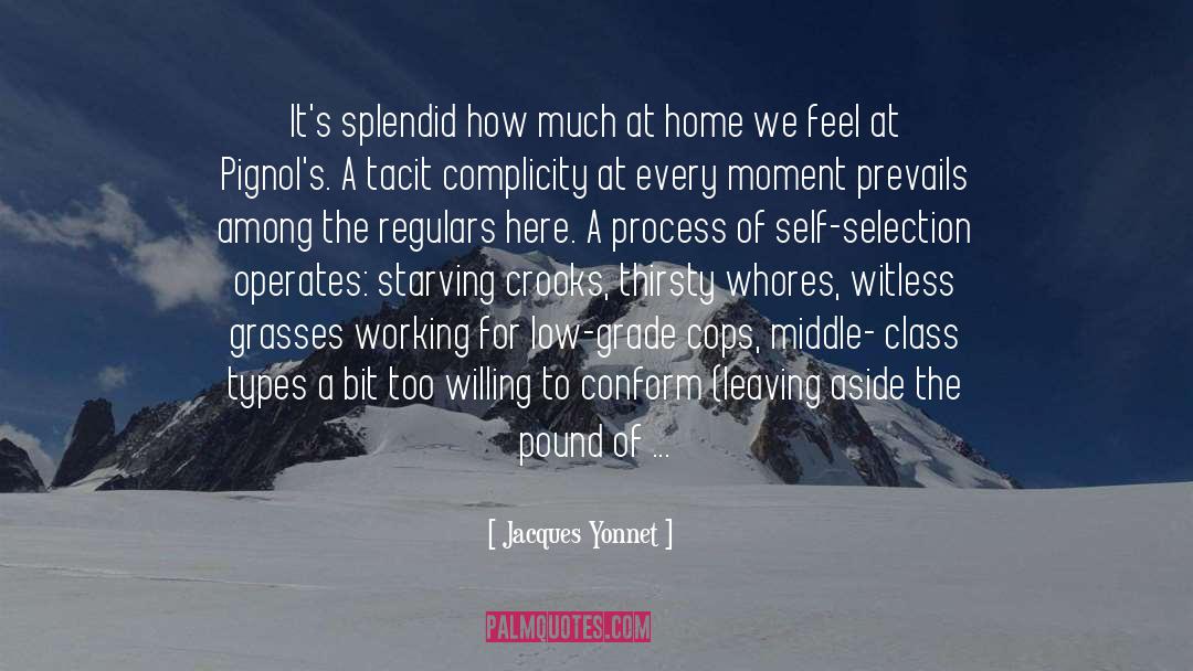Acceptance And Change quotes by Jacques Yonnet