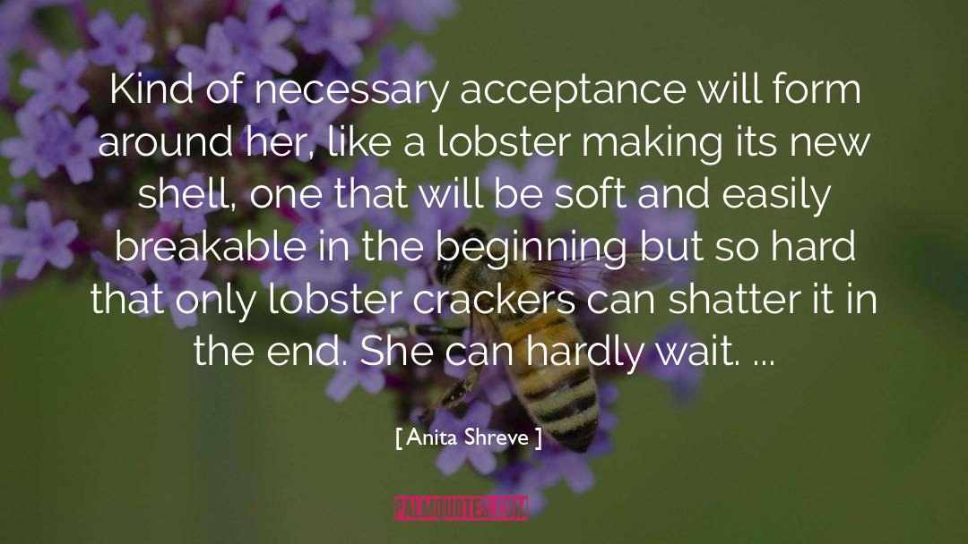 Acceptance quotes by Anita Shreve
