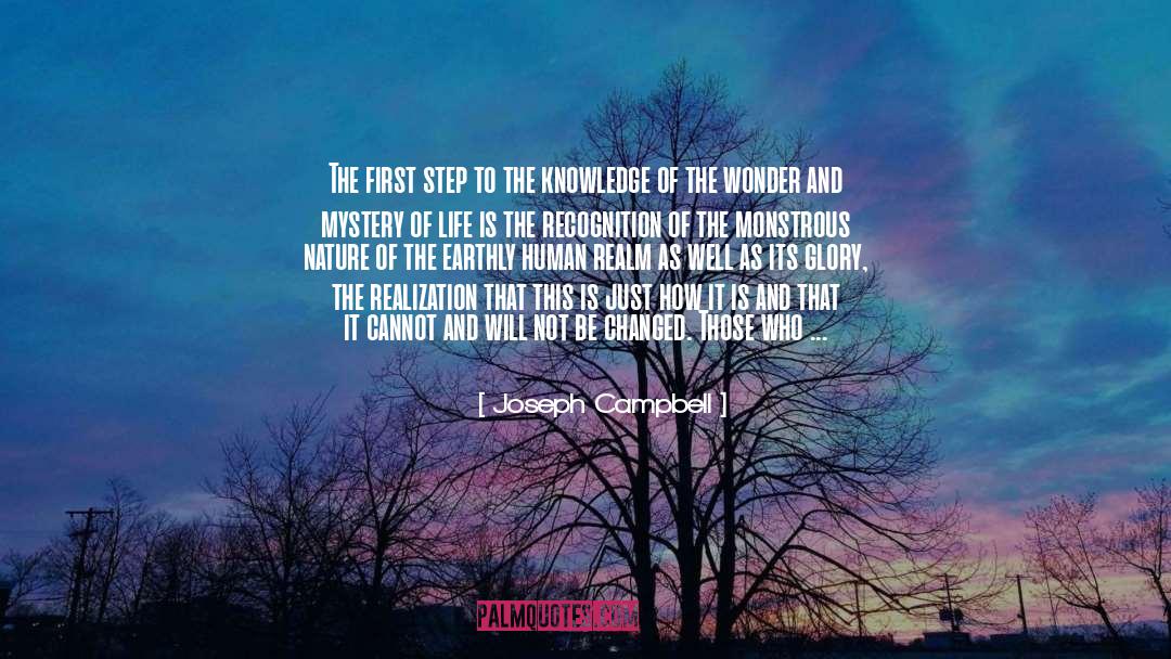 Acceptance Sorrow Truth quotes by Joseph Campbell
