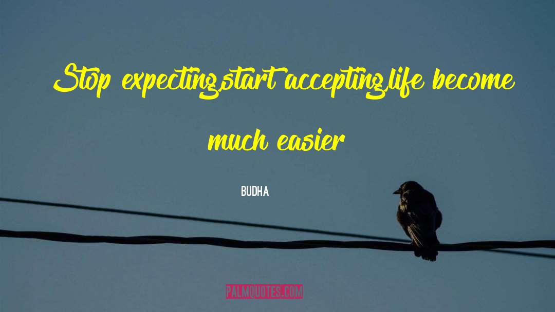 Accepting Life quotes by Budha