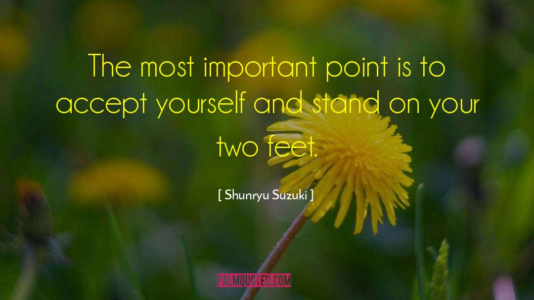 Accepting Yourself quotes by Shunryu Suzuki