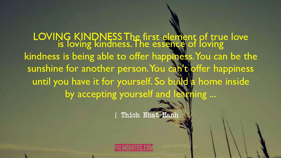 Accepting Yourself quotes by Thich Nhat Hanh