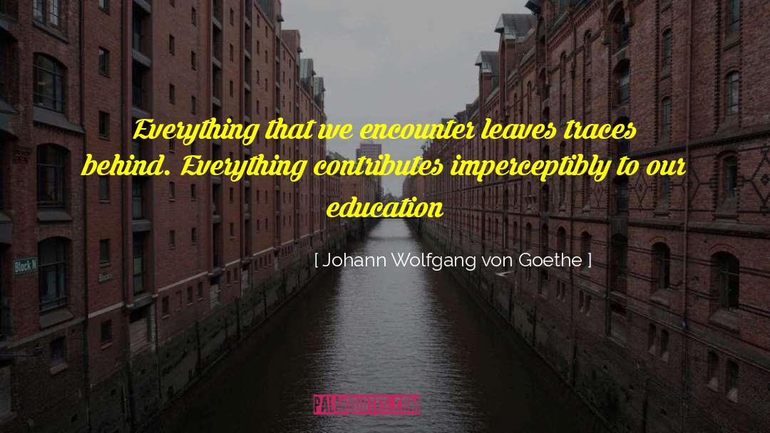 Access To Education quotes by Johann Wolfgang Von Goethe