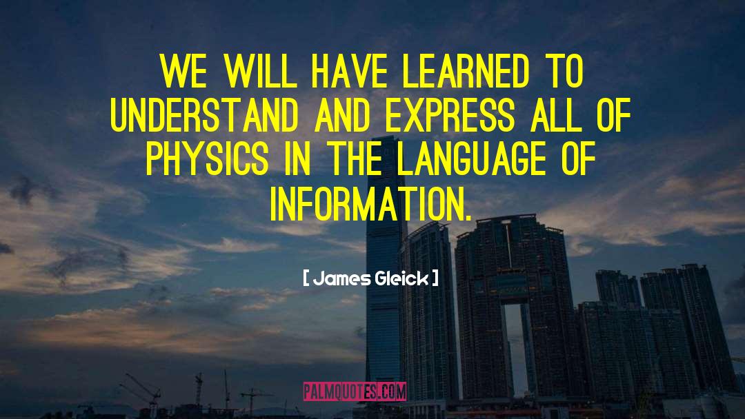 Access To Information quotes by James Gleick