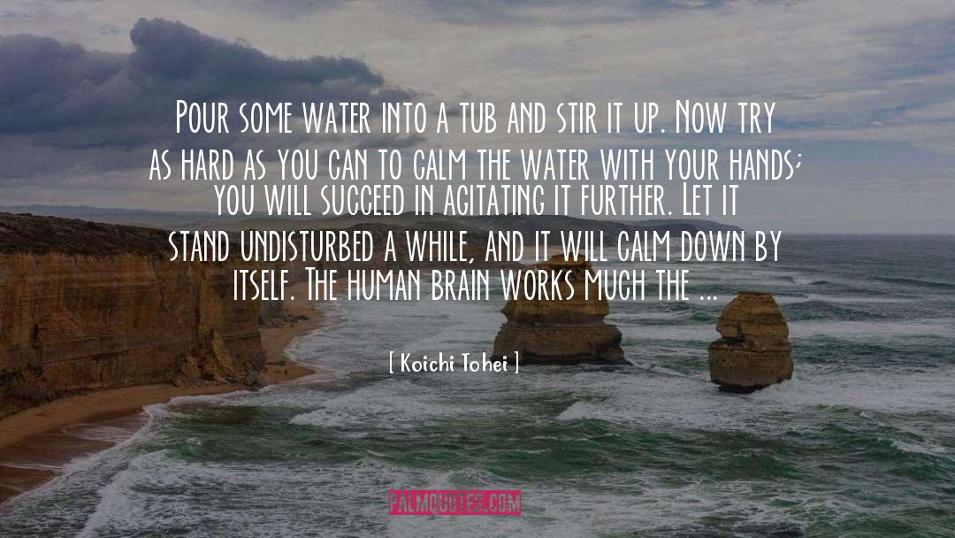 Access To Water quotes by Koichi Tohei