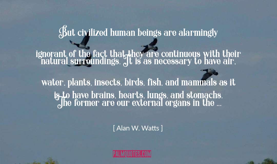 Accessory Organs quotes by Alan W. Watts