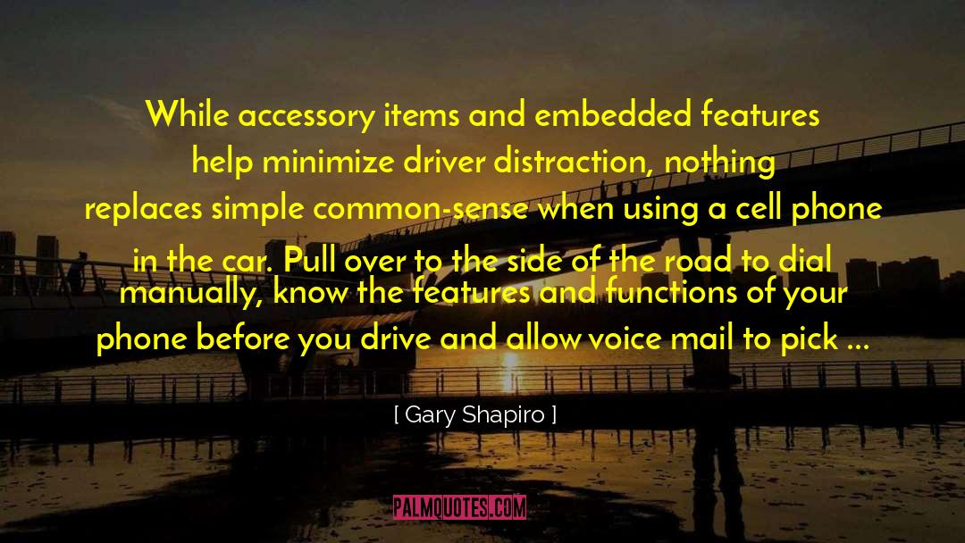 Accessory quotes by Gary Shapiro