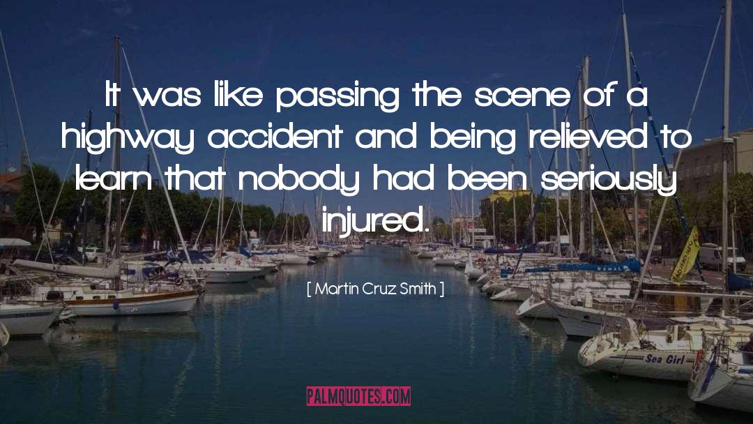 Accident Of Birth quotes by Martin Cruz Smith