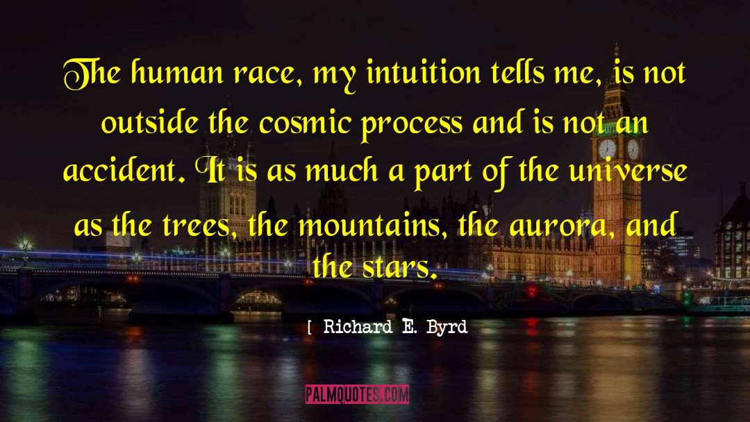 Accidents quotes by Richard E. Byrd