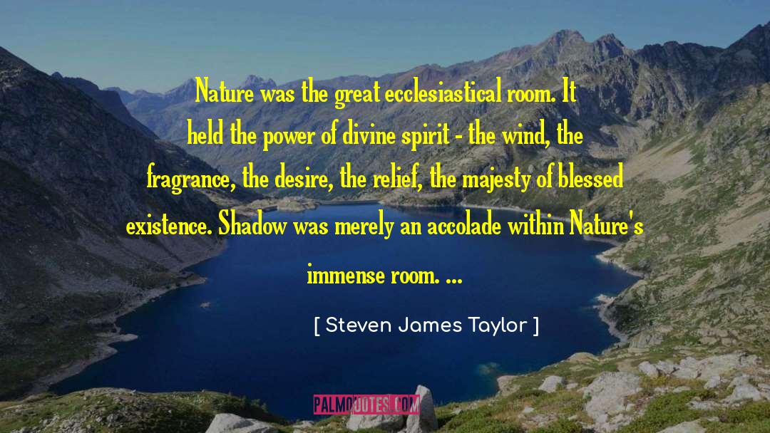 Accolade quotes by Steven James Taylor