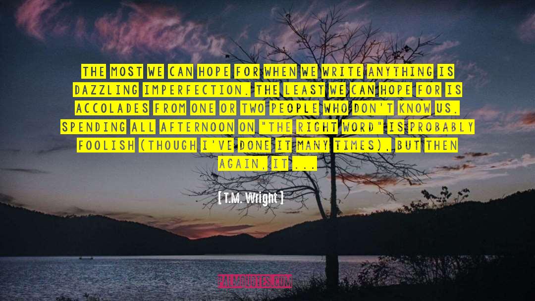 Accolades quotes by T.M. Wright