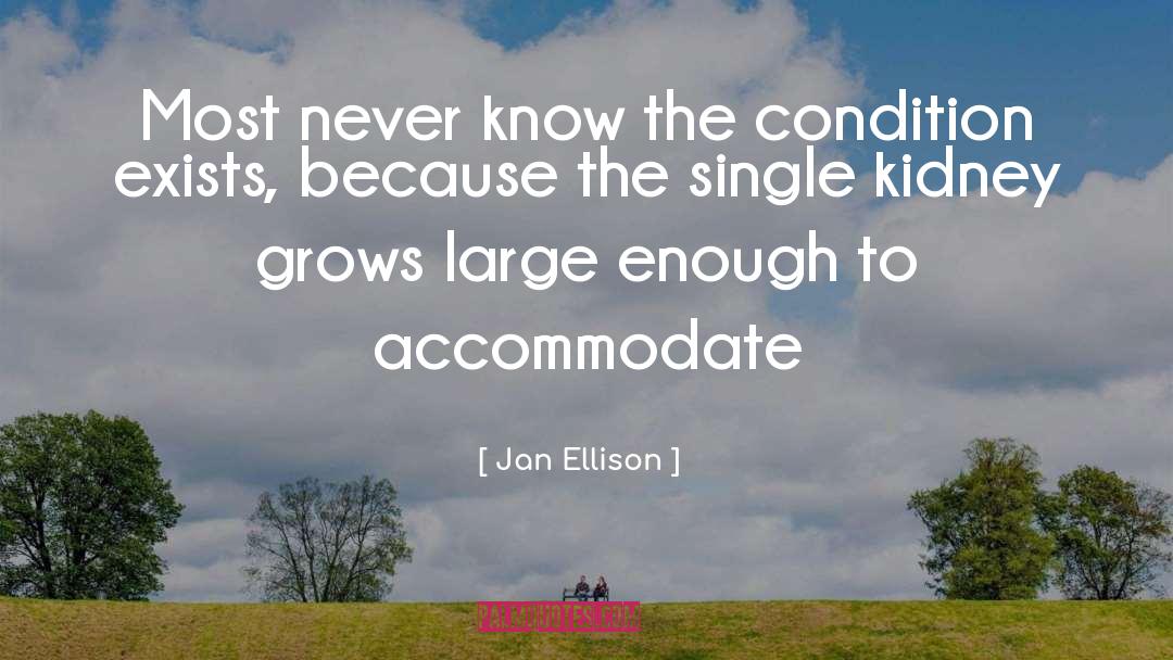 Accommodate quotes by Jan Ellison