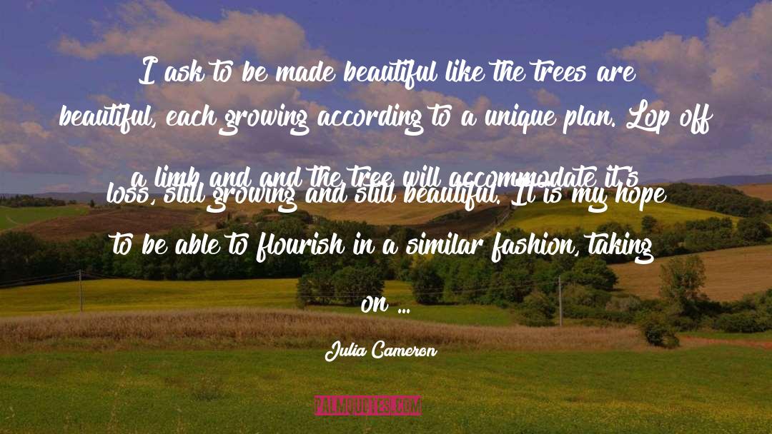 Accommodate quotes by Julia Cameron