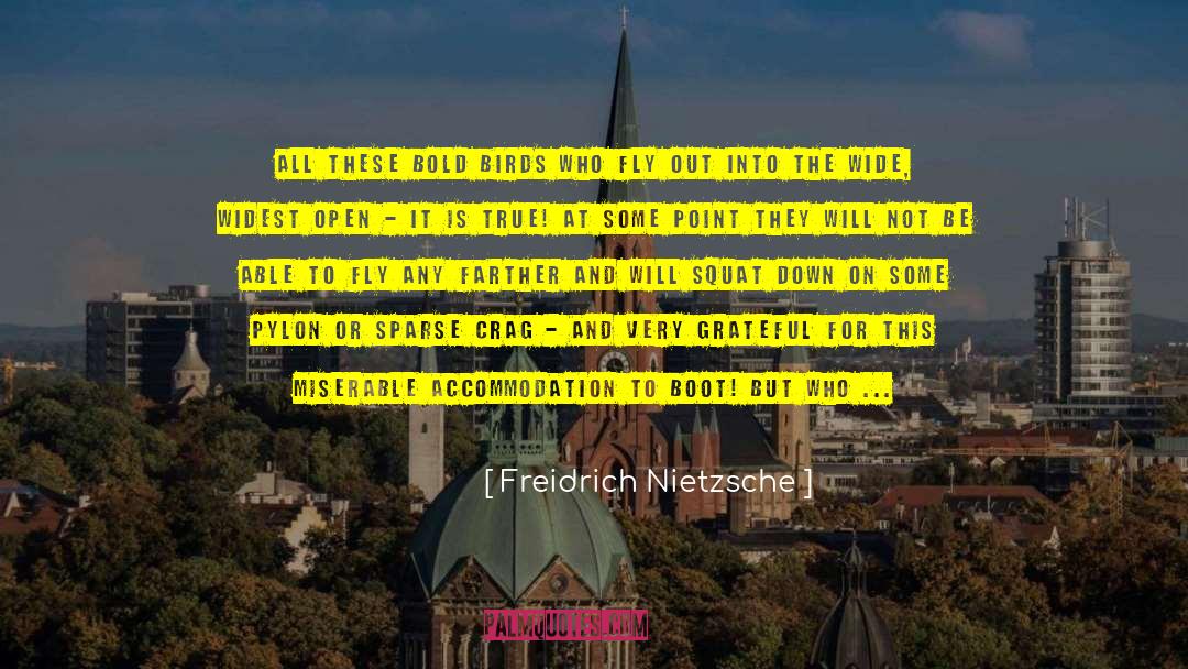 Accommodation quotes by Freidrich Nietzsche