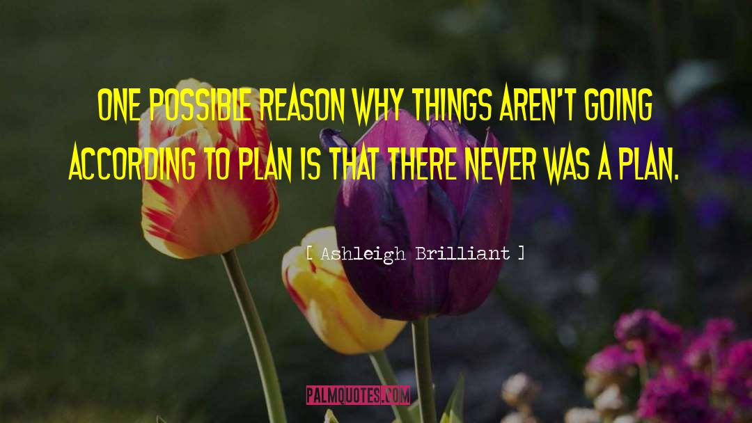 According To Plan quotes by Ashleigh Brilliant