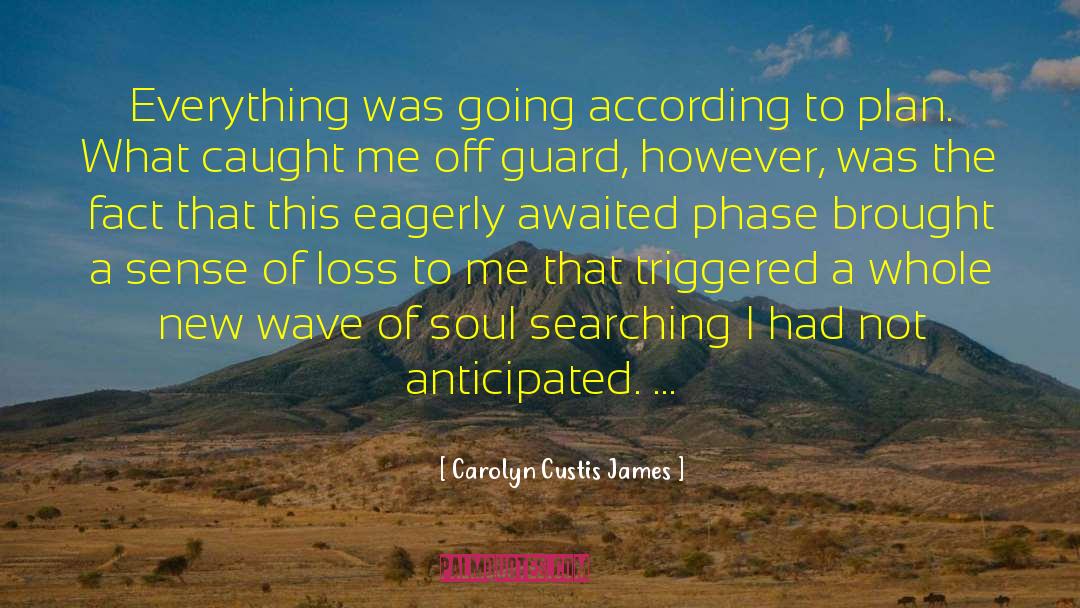 According To Plan quotes by Carolyn Custis James