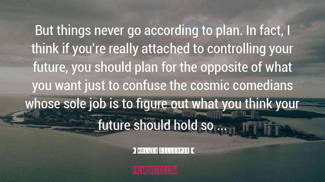 According To Plan quotes by Hollis Gillespie